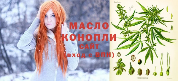 spice Богородицк